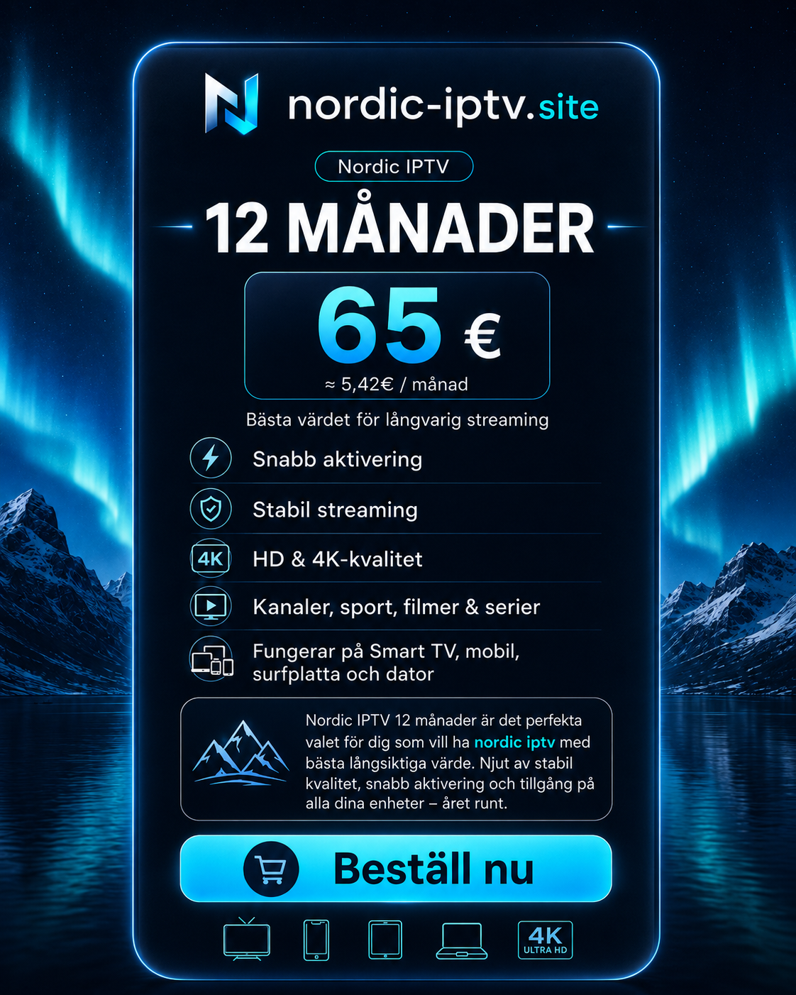 Nordic IPTV 12 månader